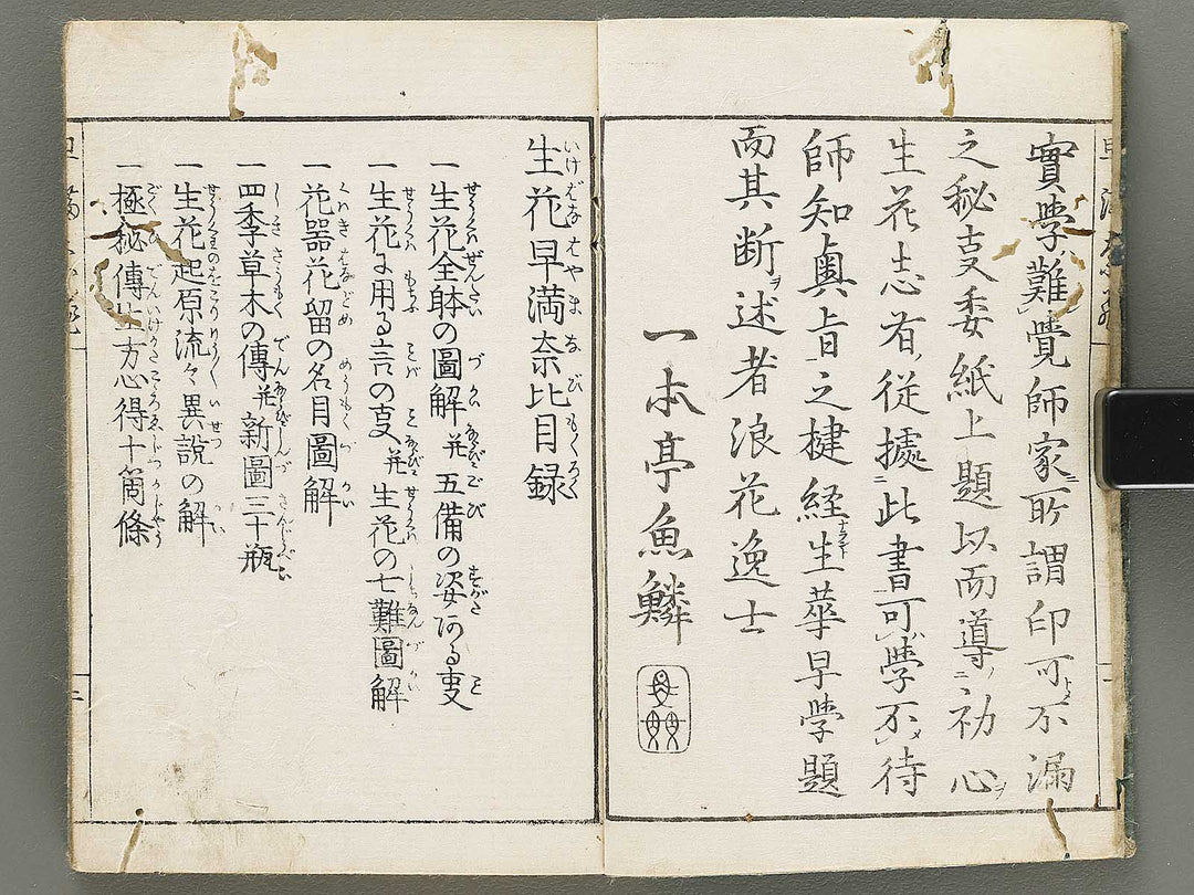 Ikebana hayamanabi / BJ331-275