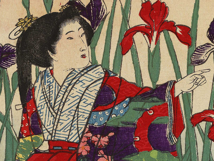 Tokyo Akasaka gyoen hanashobu goyuran narabi ni Takaosan enbo no zu by Utagawa HIroshige III / BJ339-556