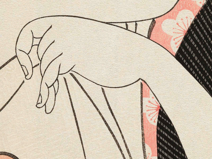 Tomimoto Toyohina from the series Komei bijin rokkasen by Kitagawa Utamaro, (Large print size) / BJ320-810