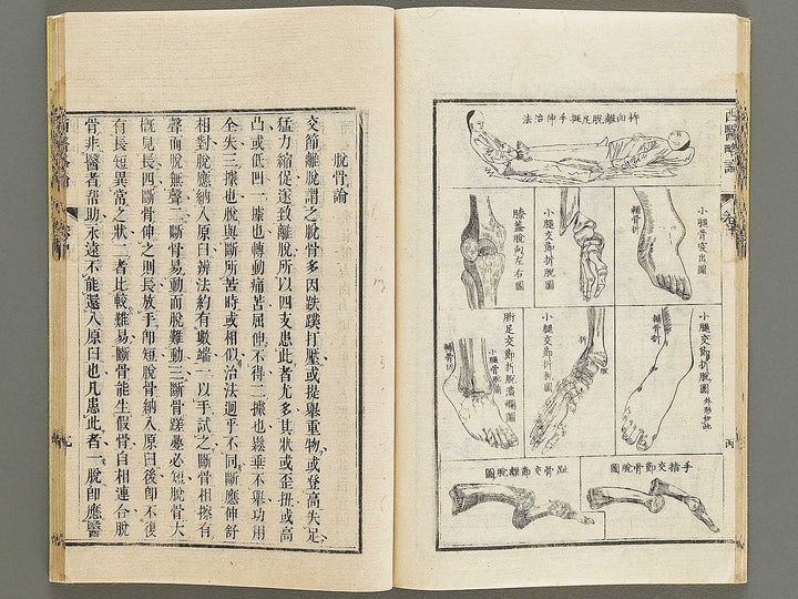 Seii ryakuron (Chu, Jo) / BJ326-319