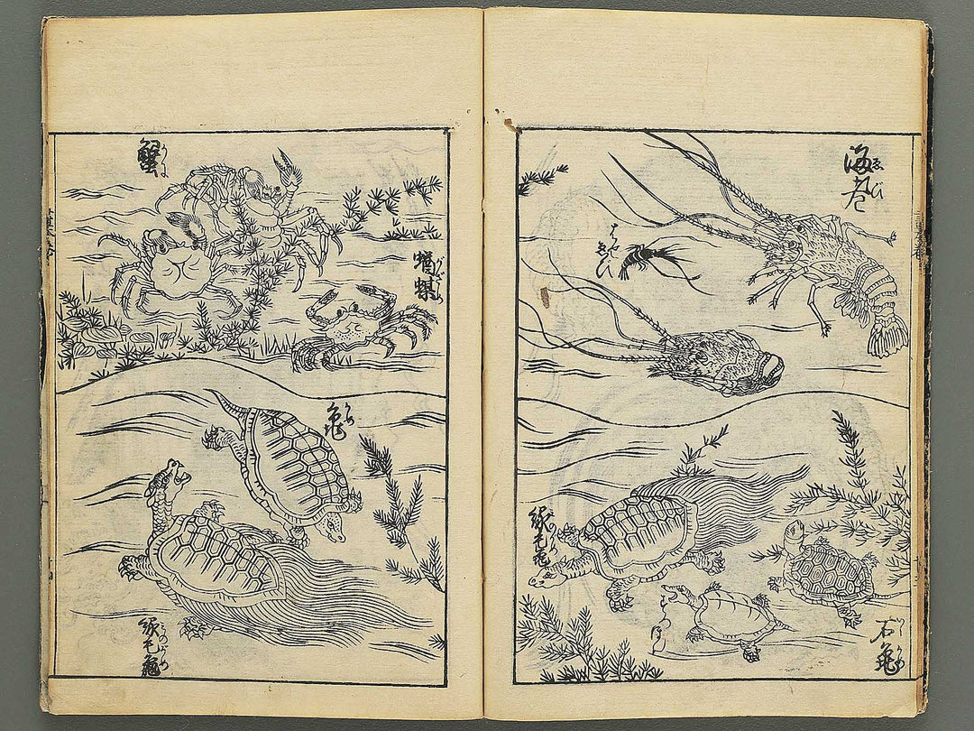 Ehon shoshin hashiradate (Ge) by Tachibana Morikuni / BJ348-649