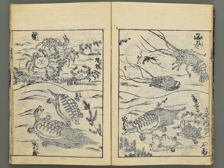 Ehon shoshin hashiradate (Ge) by Tachibana Morikuni / BJ348-649