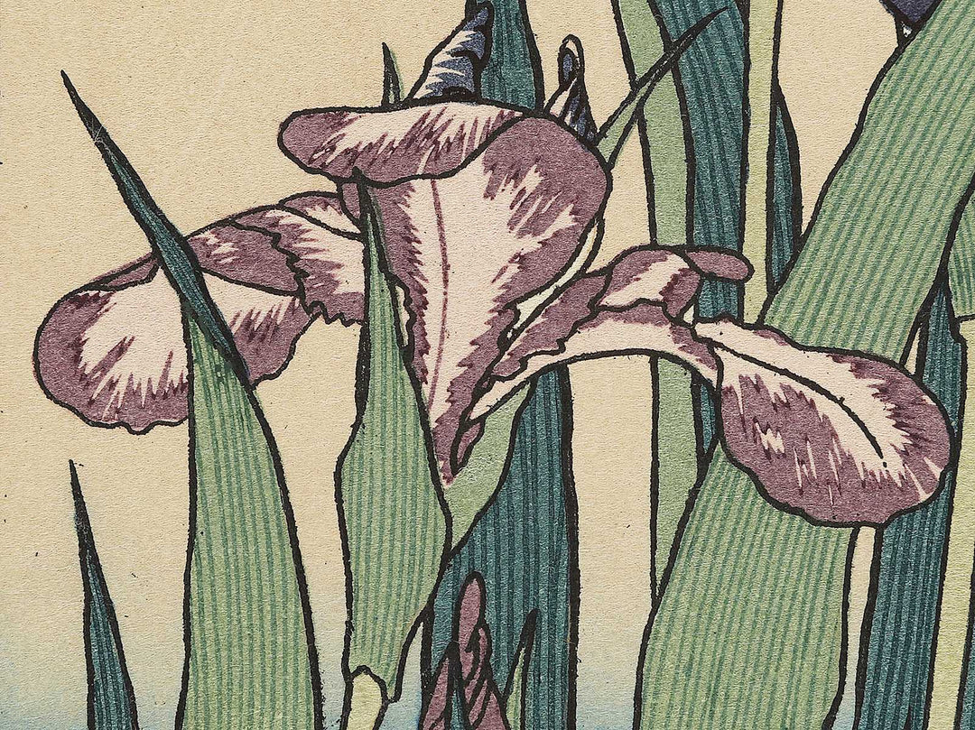 Iris and Grasshopper by Katsushika Hokusai, (Medium print size) / BJ327-432