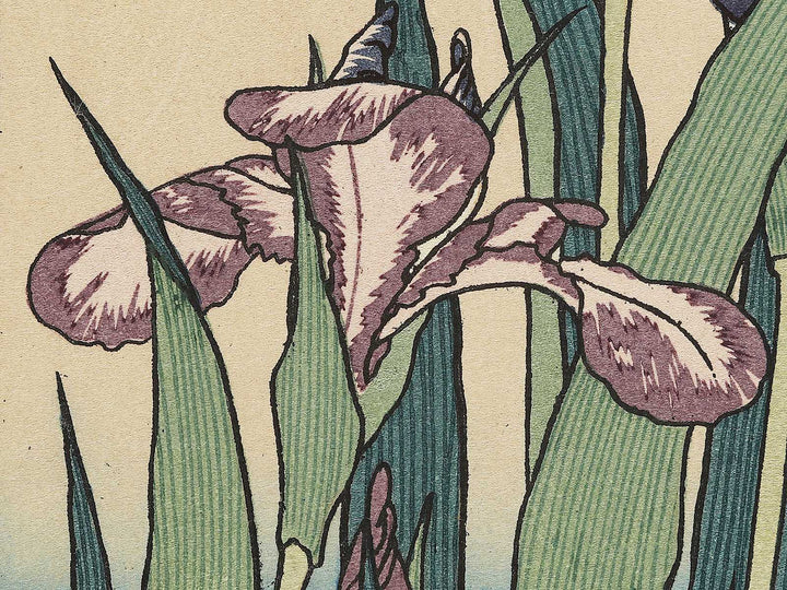 Iris and Grasshopper by Katsushika Hokusai, (Medium print size) / BJ327-432