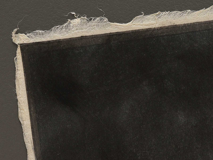 Asagao banashi no Miyuki by Hasegawa Konobu, (Large print size) / BJ326-361