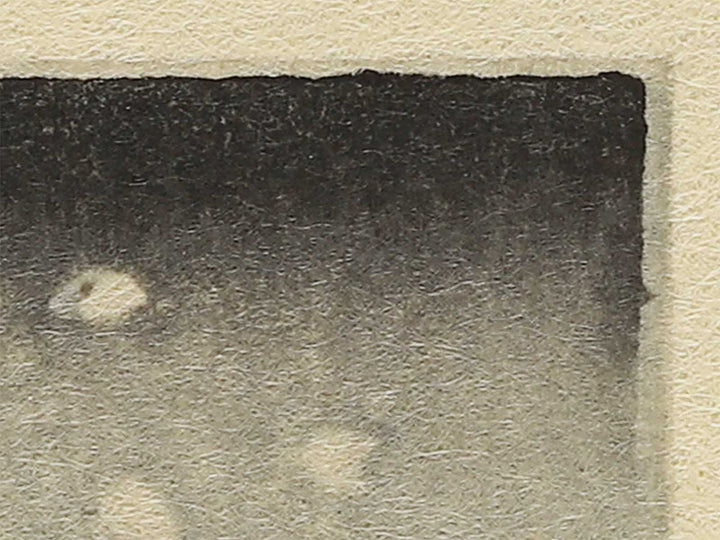 Asakusa no bosetsu from the series Meisho Edo hakkei by Utagawa Hiroshige, (Medium print size) / BJ330-624