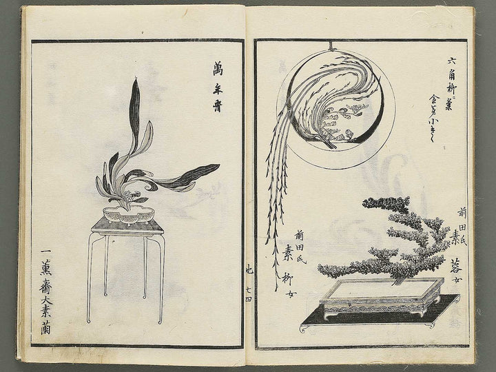 Jikei onryu ikebana chiyo no matsu / BJ342-244