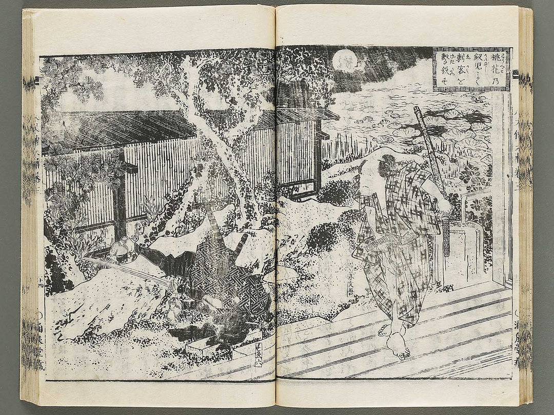 Nanso satomi hakkenden Volume 6 by Keisai Eisen, Yanagawa Shigenobu / BJ316-253