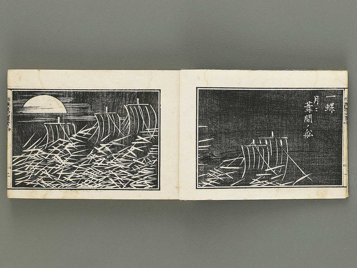 Kodai moyo shikizu ko (Chu) by Kano Motonobu, Katsushika Hokusai, Ogata Korin, Sakai Hoitsu, etc. / BJ354-158