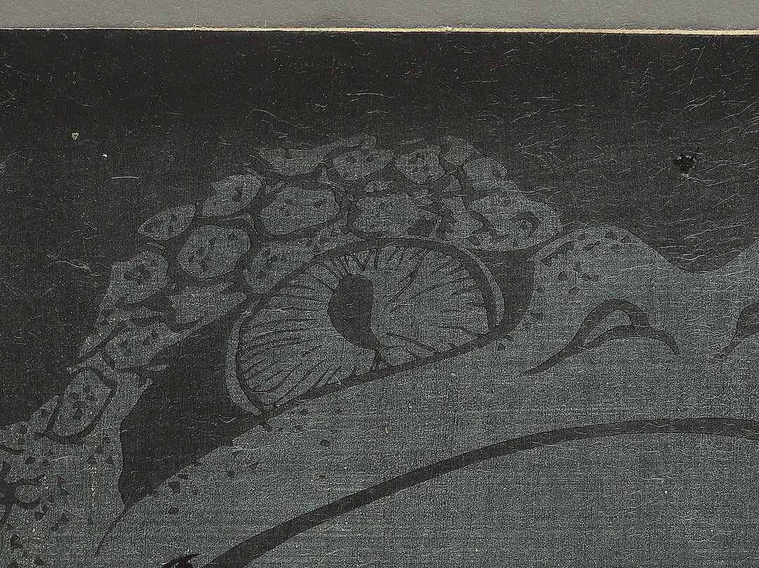Tenjiku Tokubee / BJ350-938