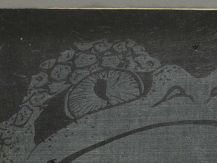 Tenjiku Tokubee / BJ350-938