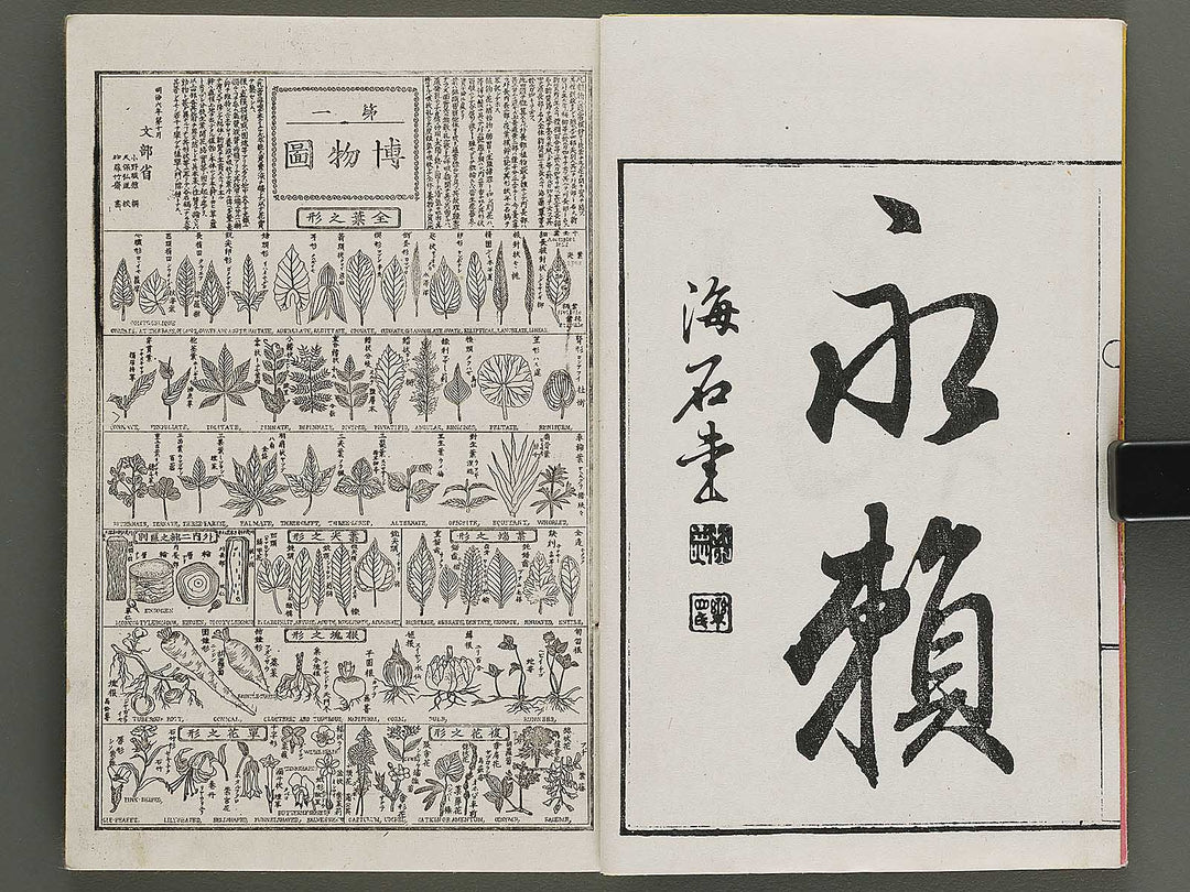 Hakubutsu kyojyuho Volume 1 / BJ341-572