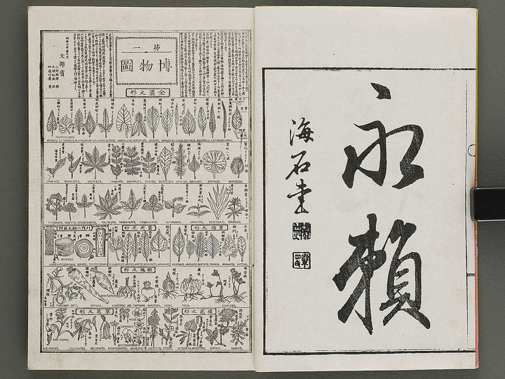 Hakubutsu kyojyuho Volume 1 / BJ341-572