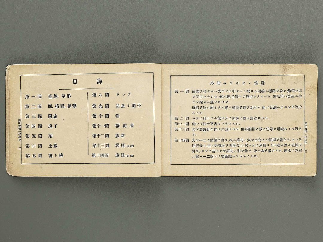 Koto shogaku mohitsuga tehon / BJ349-349