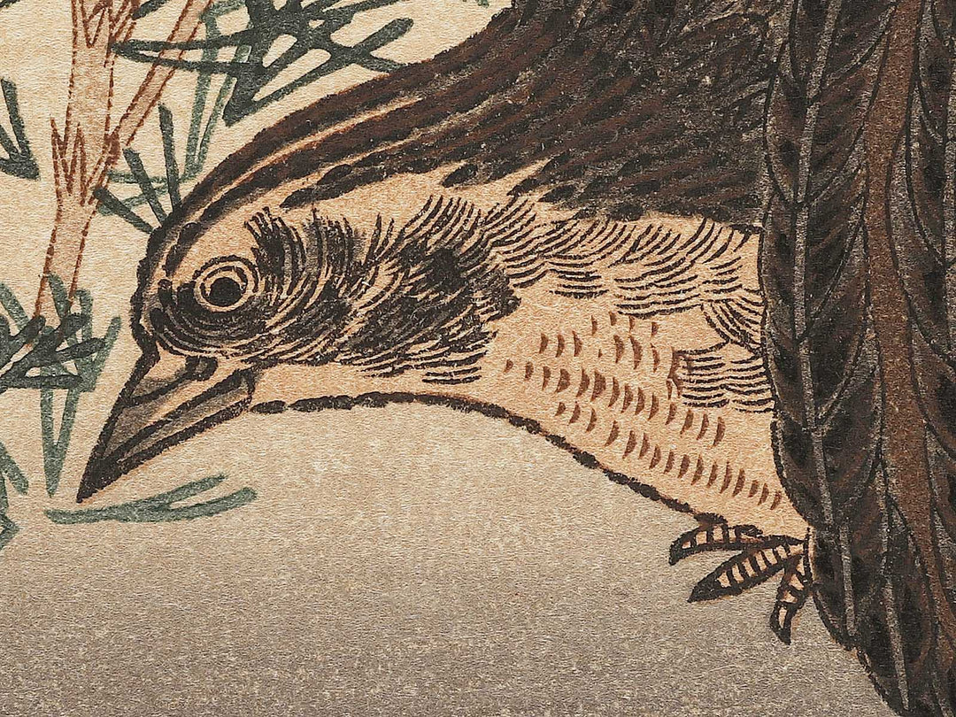 Quail and Skylark from the series Momotidori kyoka awase by Kitagawa Utamaro, (Large print size) / BJ306-887