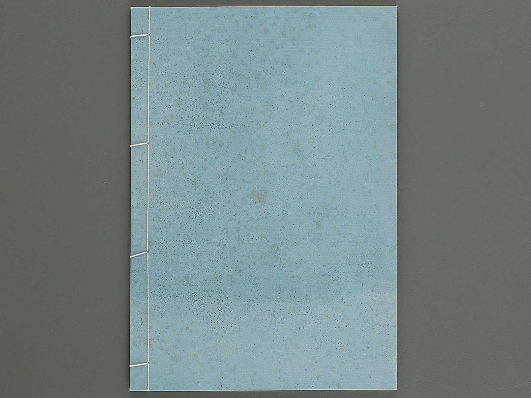 Ehon sumidagawa ryogan ichiran (Chu) by Katsushika Hokusai / BJ341-159