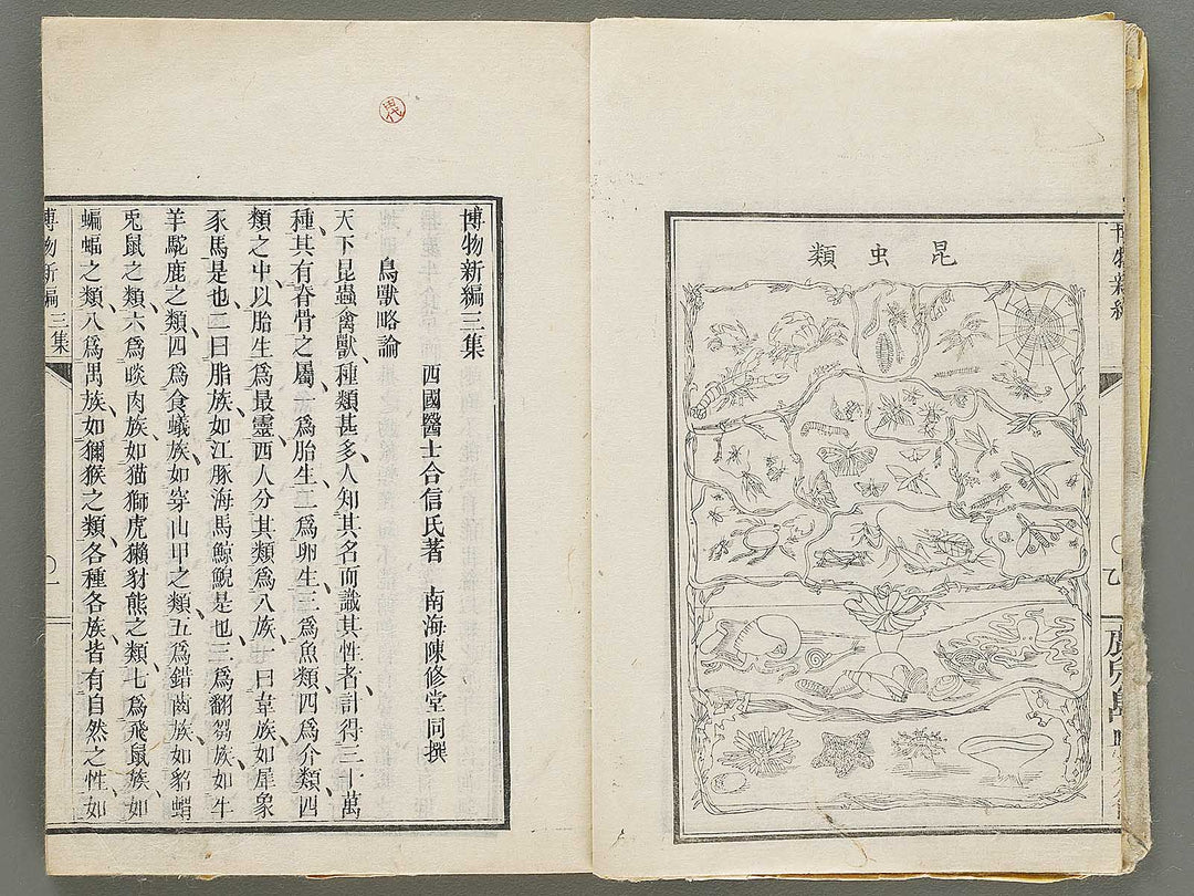 Hakubutsu Shinpen Volume 3 / BJ330-869