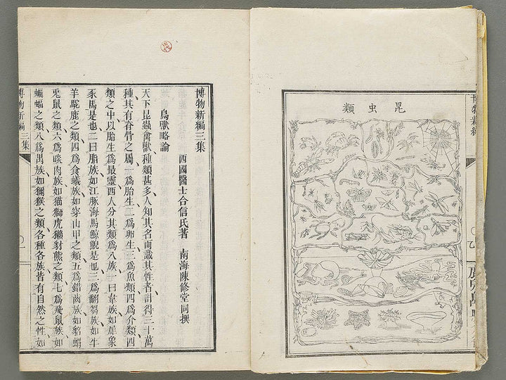 Hakubutsu Shinpen Volume 3 / BJ330-869