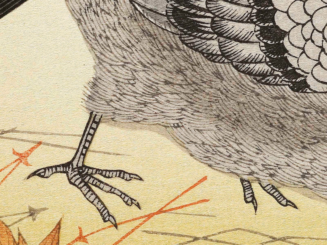 A flock of sparrows and Dove from the series Momochidori kyokaawase by Kitagawa Utamaro, (Large print size) / BJ328-055