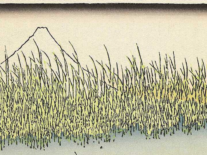 Ashinaka ikada no fuji from the series One Hundred Views of Mount Fuji by Katsushika Hokusai, (Medium print size) / BJ321-755