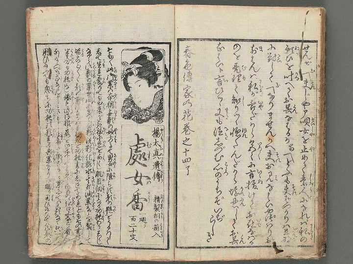 Shunshoku denka no hana Part5 Vol.14 by Utagawa Sadashige / BJ257-775