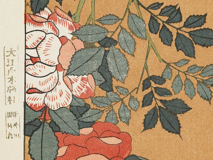 Kocho bara by Katsushika Hokusai, (Large print size) / BJ331-660