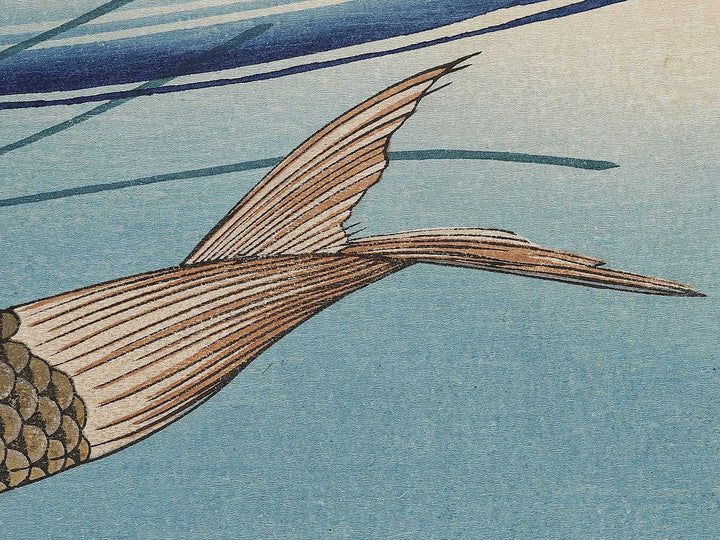 Japanese Carp from the series the series fish by Utagawa Hiroshige, (Large print size) / BJ325-619