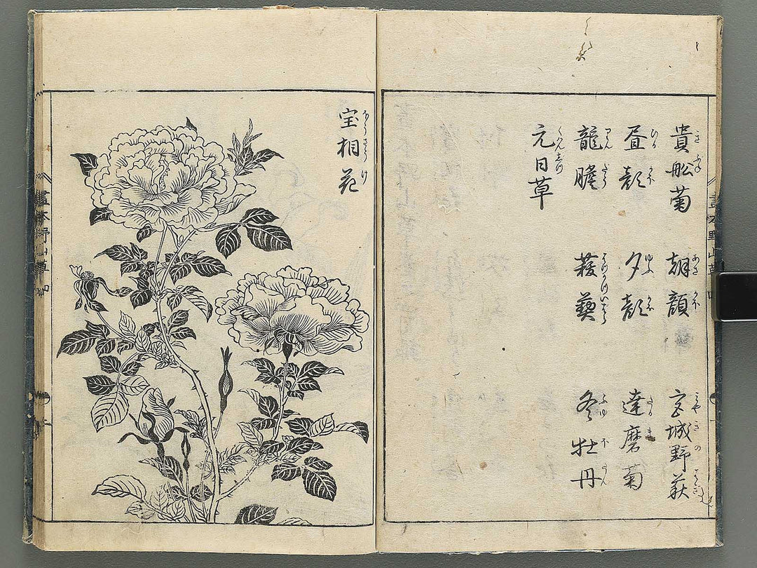 Gahon noyama gusa Volume 4 / BJ346-332