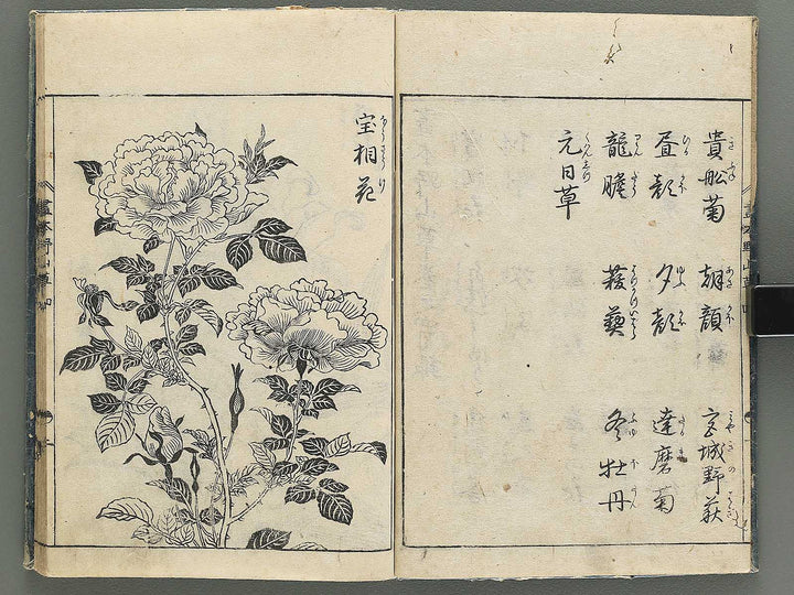 Gahon noyama gusa Volume 4 / BJ346-332