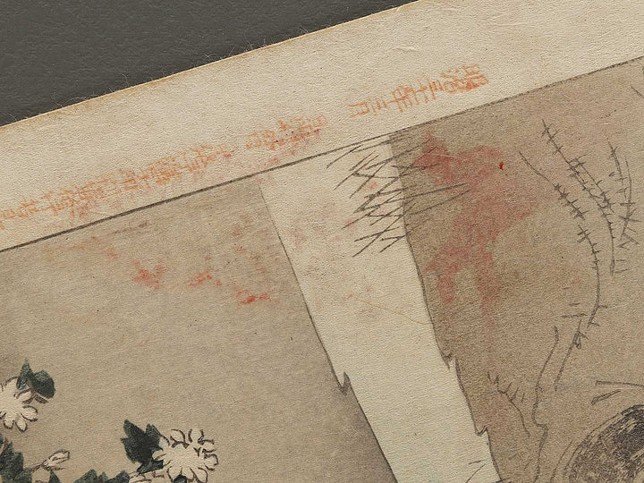 Shugiku from the series Fuzokutsu by Miyakawa Shuntei / BJ322-371