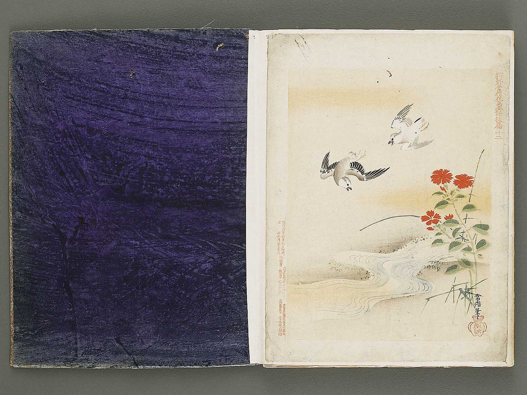 Gacho by Kano-school / BJ324-044