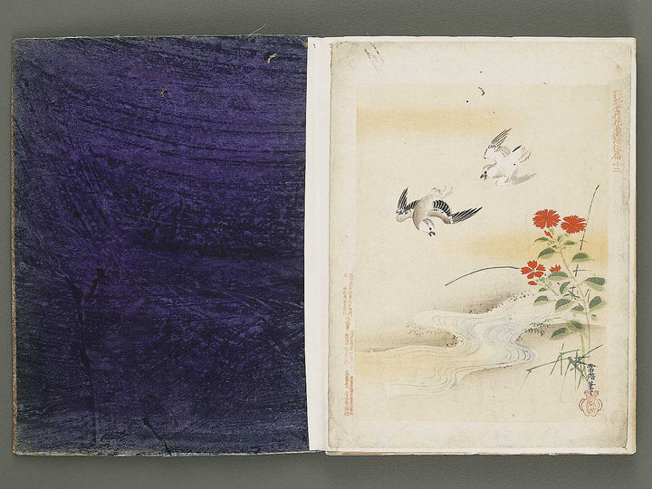 Gacho by Kano-school / BJ324-044