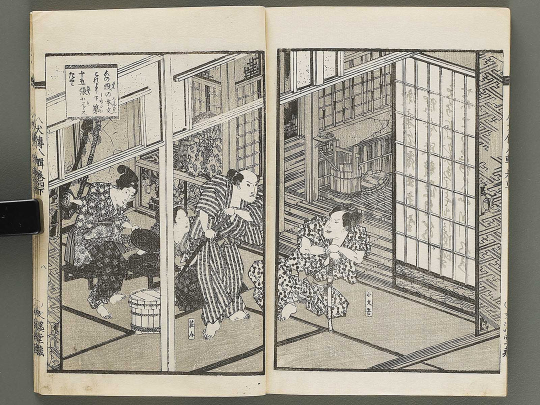 Nanso satomi hakkenden Volume 8, (Jo) / BJ316-302