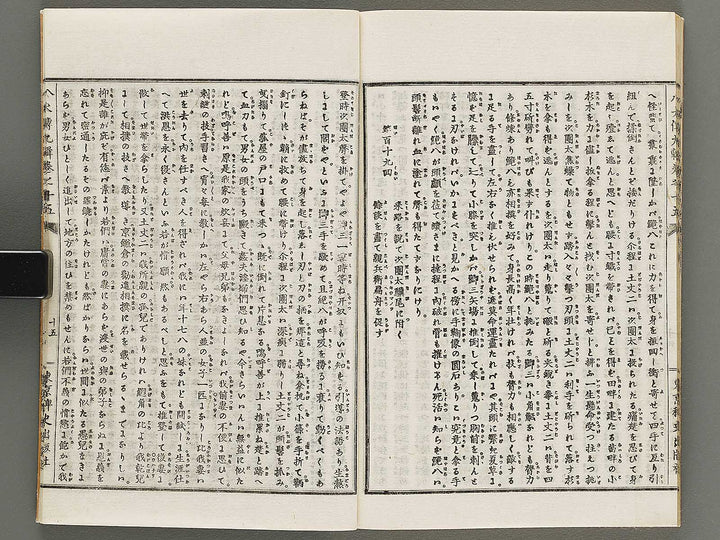 Nanso satomi hakkenden Part 9, Book 13-15 / BJ317-947