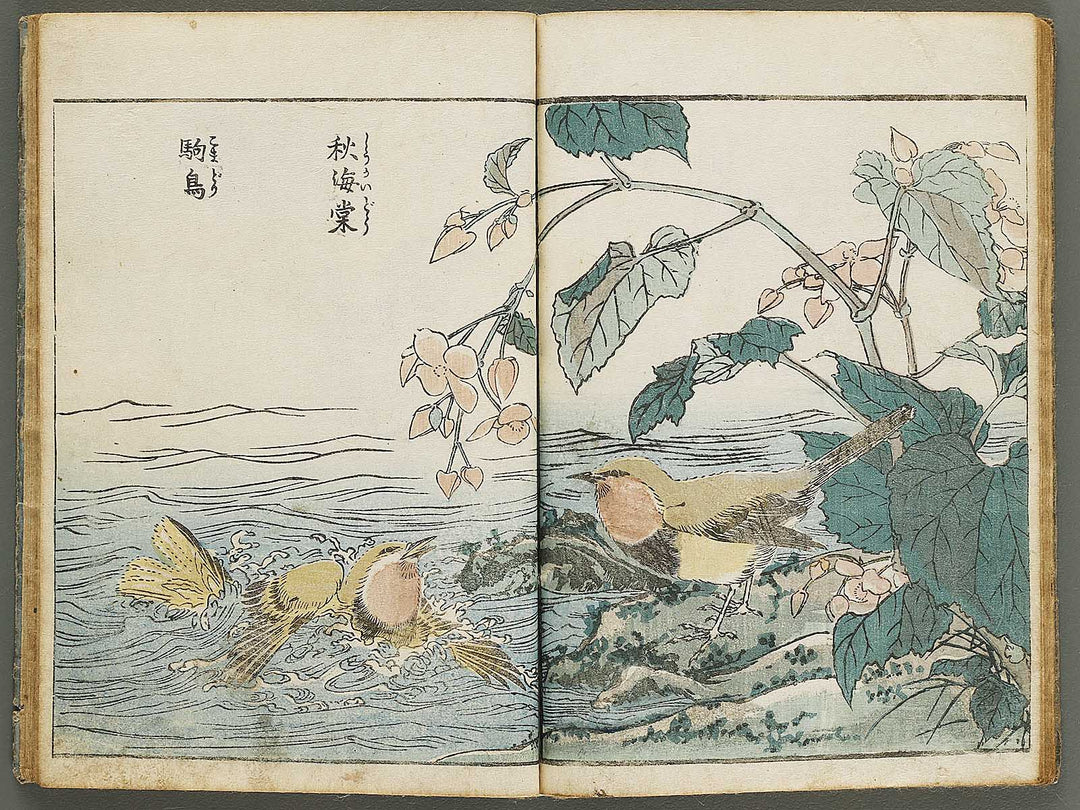 Kacho shashin zui by Kitao Shigemasa / BJ339-115