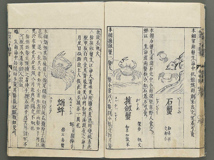 Wakan sansai zue Part 45, Book 46 / BJ349-230