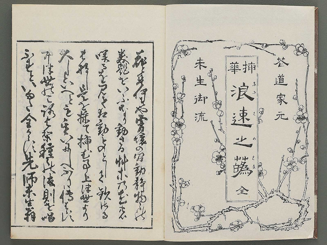 Naniwa no hana by Matsukawa Hanzan / BJ348-992