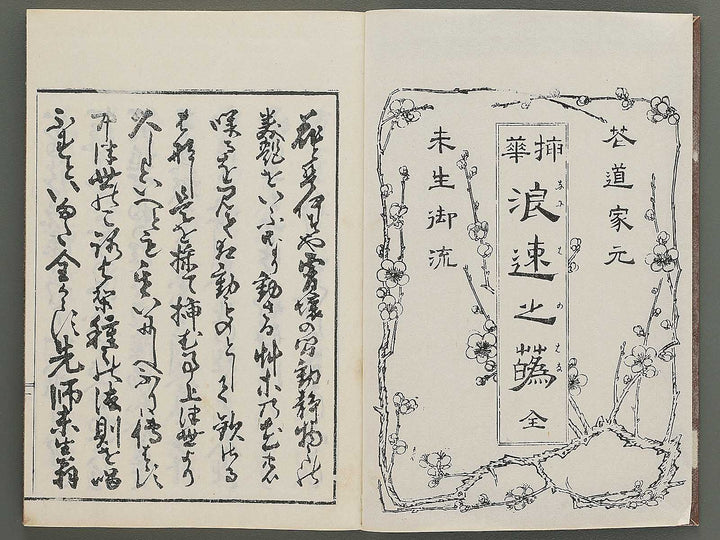 Naniwa no hana by Matsukawa Hanzan / BJ348-992