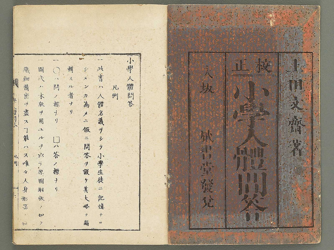 Shogaku jintai mondo / BJ352-884