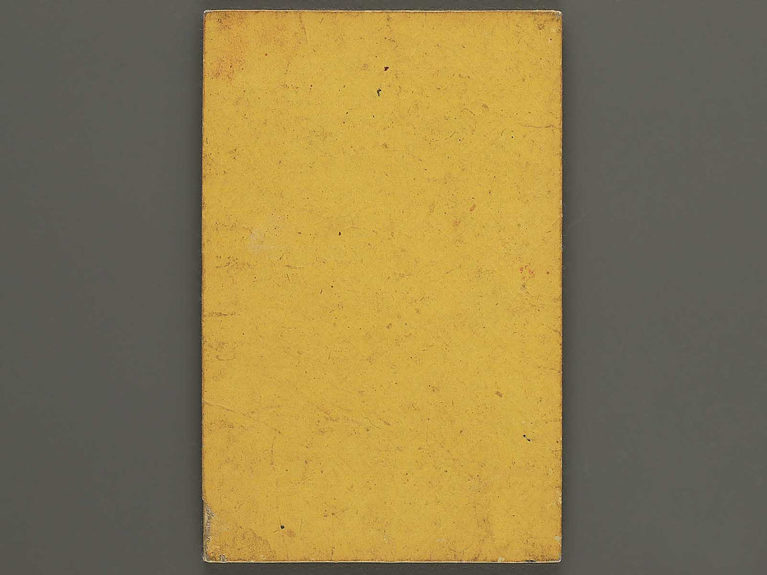 Meiji shinkoku Osakafu kannai zenzu by Mizuguchi Ryunosuke / BJ342-895