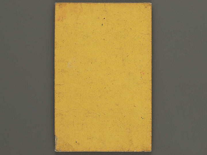Meiji shinkoku Osakafu kannai zenzu by Mizuguchi Ryunosuke / BJ342-895