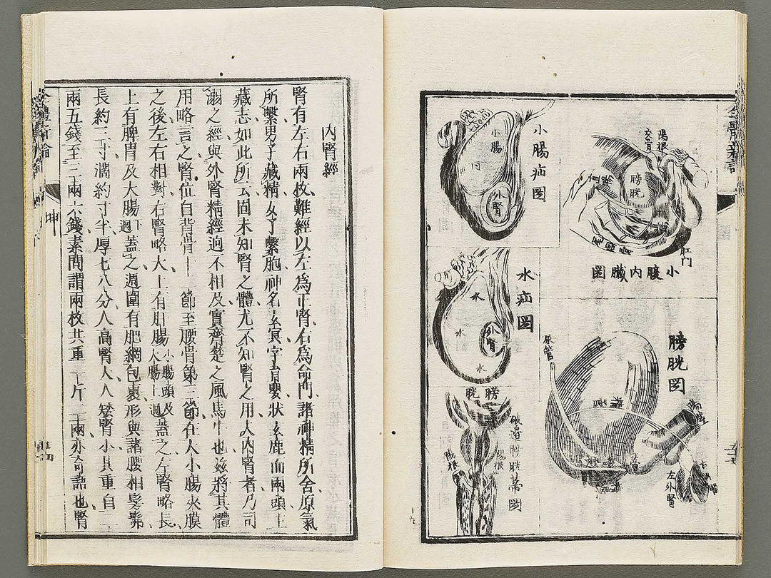 Zentai shinron Kon (Part 2 of 2) / BJ325-353