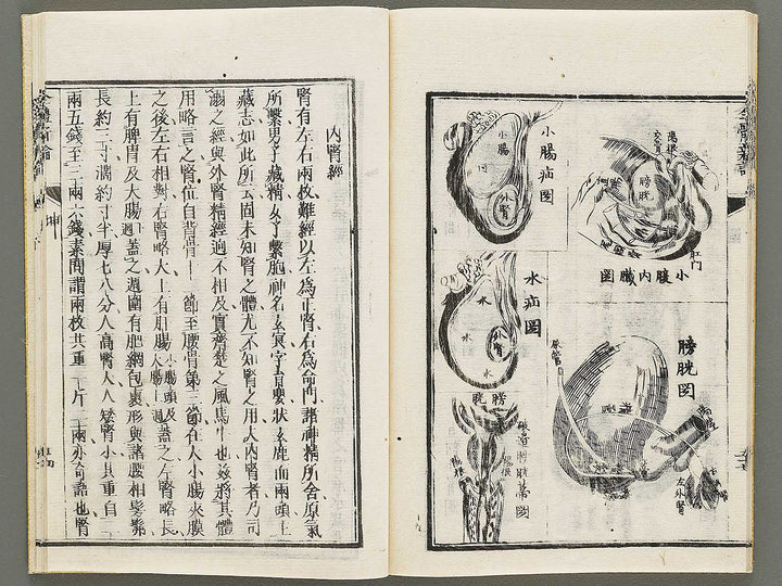 Zentai shinron Kon (Part 2 of 2) / BJ325-353