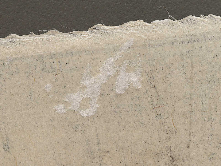 Asagao banashi no Miyuki by Hasegawa Konobu, (Large print size) / BJ326-361