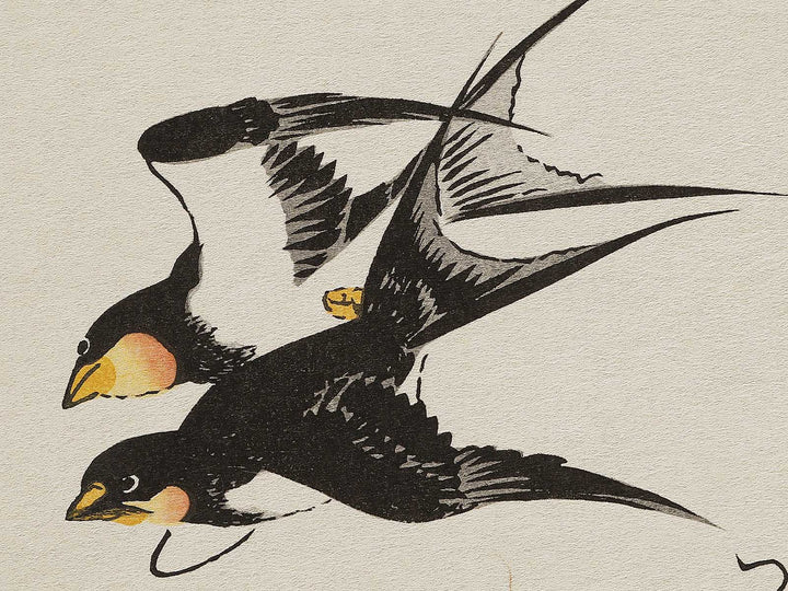 Swallow and Pheasant from the series Momochidori kyoka awase by Kitagawa Utamaro, (Large print size) / BJ327-964