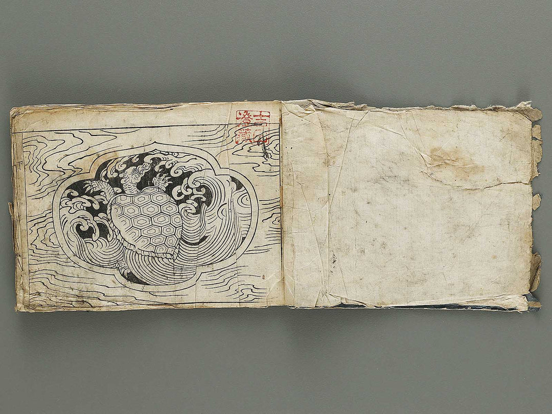 Ranma hinagata (Ge) / BJ336-056