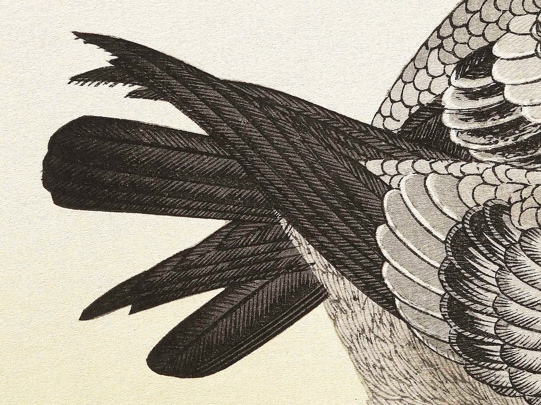 A flock of sparrows and Dove from the series Momochidori kyokaawase by Kitagawa Utamaro, (Large print size) / BJ328-055