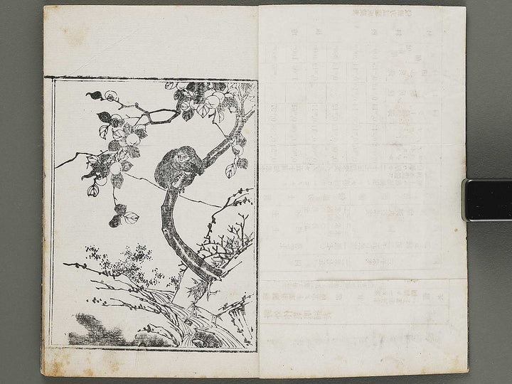 Shunzan gafu Volume 3 by Naoe Tokutaro / BJ318-353