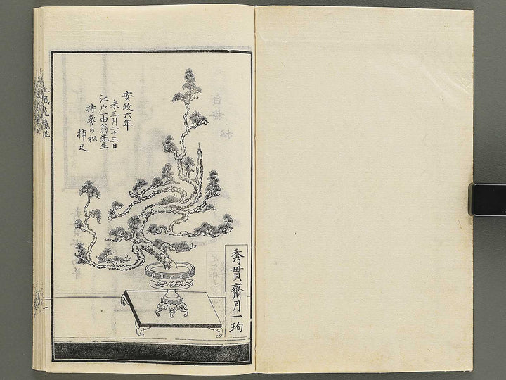 Soka bonseki shofu hana kagami Chi (Part 2 of 3) / BJ352-898