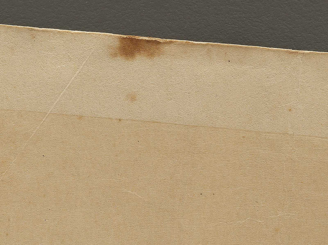 Dai juichi from the series Nihon shinkei gafu by Yamada Shokei / BJ328-216